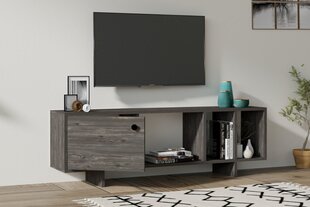 TV blokas, Asir, 140x45x29 cm, pilka kaina ir informacija | TV staliukai | pigu.lt