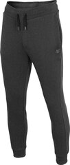 Спортивные штаны 4F серого цвета для мужчин, размер L 4FSS23TTROM152_SZARY_L цена и информация | Мужские брюки FINIS | pigu.lt