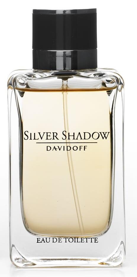 Tualetinis vanduo Davidoff Silver Shadow EDT vyrams 50 ml kaina ir informacija | Kvepalai vyrams | pigu.lt