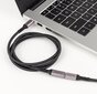 Reagle USB-C 3.2 Thunderbolt ilgintuvas 100W 4K@60Hz 0,5 m цена и информация | USB laikmenos | pigu.lt