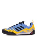 Adidas TERREX SWIFT SOLO 2, ярко-синяя обувь, 42 ⅔ HR1303_42_23 цена и информация | Мужские ботинки | pigu.lt
