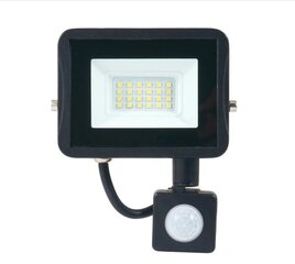 Halogeninė LED lauko lempa, 20W цена и информация | Уличные светильники | pigu.lt