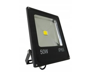 Halogeninė LED lauko lempa, 50W kaina ir informacija | Lauko šviestuvai | pigu.lt
