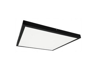 LED panelė, 60W, balta цена и информация | Монтируемые светильники, светодиодные панели | pigu.lt