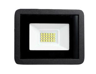 Halogeninė LED lauko lempa, 20W цена и информация | Уличные светильники | pigu.lt