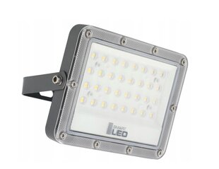 Halogeninė LED lauko lempa, 50W kaina ir informacija | Lauko šviestuvai | pigu.lt