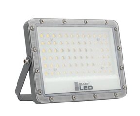 LED lauko lempa, 100W цена и информация | Уличные светильники | pigu.lt