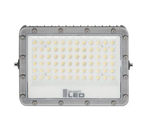 LED lauko lempa, 100W kaina ir informacija | Lauko šviestuvai | pigu.lt