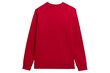 Džemperis vyrams 4F, raudonas kaina ir informacija | Džemperiai vyrams | pigu.lt