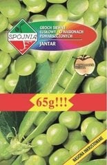 Žirniai Jantar kaina ir informacija | Daržovių, uogų sėklos | pigu.lt