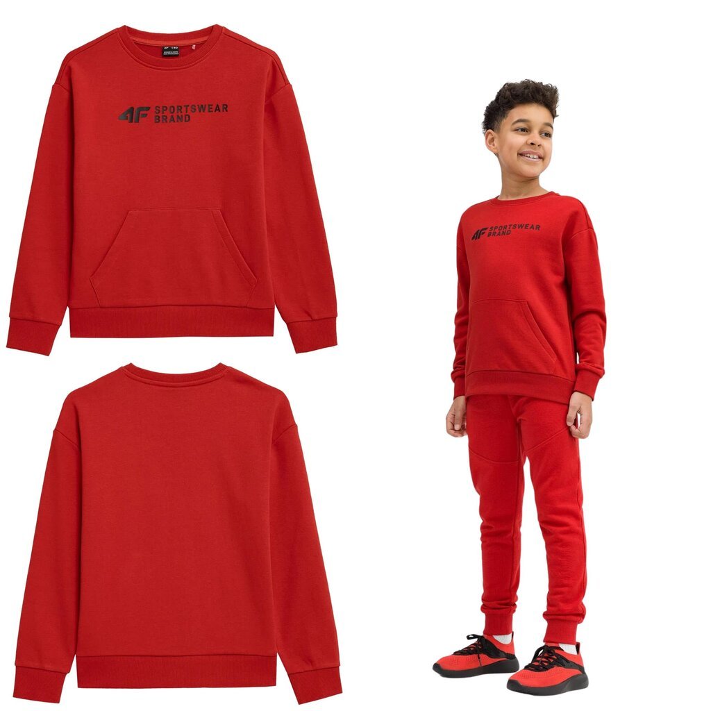 Džemperis berniukams 4F, raudonas цена и информация | Megztiniai, bluzonai, švarkai berniukams | pigu.lt