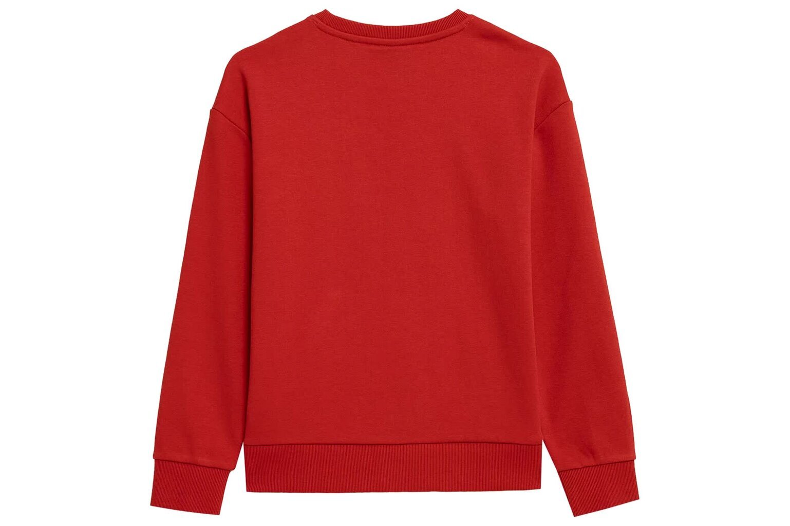 Džemperis berniukams 4F, raudonas kaina ir informacija | Megztiniai, bluzonai, švarkai berniukams | pigu.lt