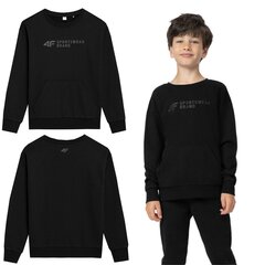 Džemperis berniukams 4F, juodas kaina ir informacija | Megztiniai, bluzonai, švarkai berniukams | pigu.lt
