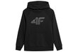 Džemperis berniukams 4F 4FJSS23TSWSM220, juodas kaina ir informacija | Megztiniai, bluzonai, švarkai berniukams | pigu.lt