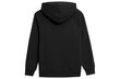 Džemperis berniukams 4F 4FJSS23TSWSM220, juodas kaina ir informacija | Megztiniai, bluzonai, švarkai berniukams | pigu.lt