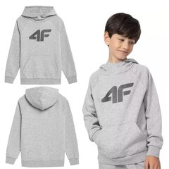 Брендовая детская хлопковая блузка, 4F, серого цвета, размер 134 цена и информация | Свитеры, жилетки, пиджаки для мальчиков | pigu.lt