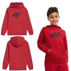 Džemperis berniukams 4F, raudonas kaina ir informacija | Megztiniai, bluzonai, švarkai berniukams | pigu.lt