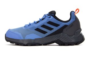 Žygio batai vyrams Adidas HP8610, mėlyni kaina ir informacija | Vyriški batai | pigu.lt