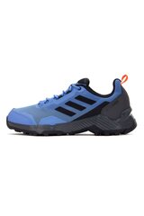Žygio batai vyrams Adidas HP8610, mėlyni kaina ir informacija | Vyriški batai | pigu.lt