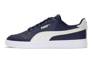 Sportiniai batai vyrams Puma Shuffle 309668 26, mėlyni kaina ir informacija | Kedai vyrams | pigu.lt