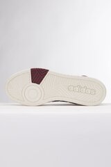 Мужская спортивная обувь Adidas Superstar C77154 цена и информация | Кроссовки для мужчин | pigu.lt