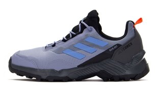 Sportiniai batai vyrams Adidas Terrex Eastrail 2 R.RDY HP8604, violetiniai kaina ir informacija | Kedai vyrams | pigu.lt
