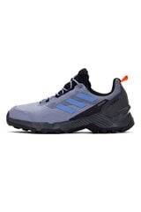 Sportiniai batai vyrams Adidas Terrex Eastrail 2 R.RDY HP8604, violetiniai kaina ir informacija | Kedai vyrams | pigu.lt