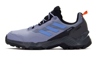 Ботинки Adidas Terrex Eastrail 2 R.RDY HP8604, фиолетовые, размер 44 HP8604_44 цена и информация | Мужские ботинки | pigu.lt