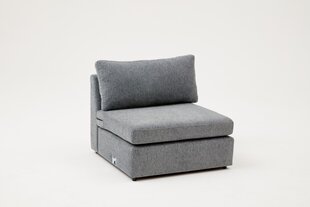Fotelis Asir, pilkas kaina ir informacija | Svetainės foteliai | pigu.lt