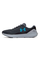 Sportiniai batai vyrams Under Armour 3024883104, pilki цена и информация | Кроссовки для мужчин | pigu.lt