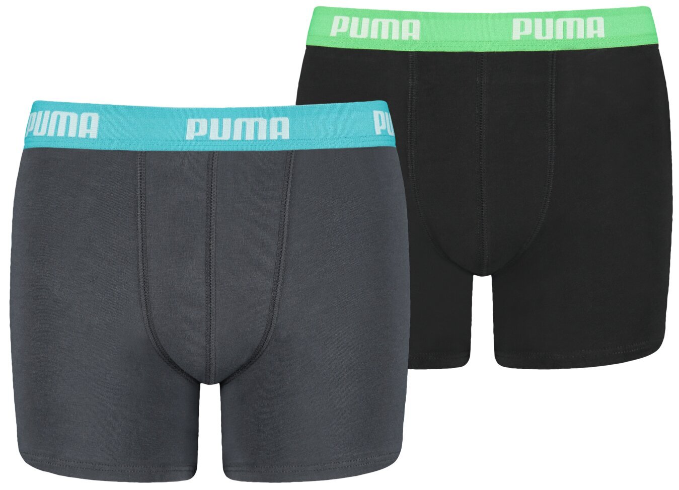 Trumpikės berniukams Puma 935454 01, įvairių spalvų, 2 vnt. kaina ir informacija | Apatiniai drabužiai berniukams | pigu.lt