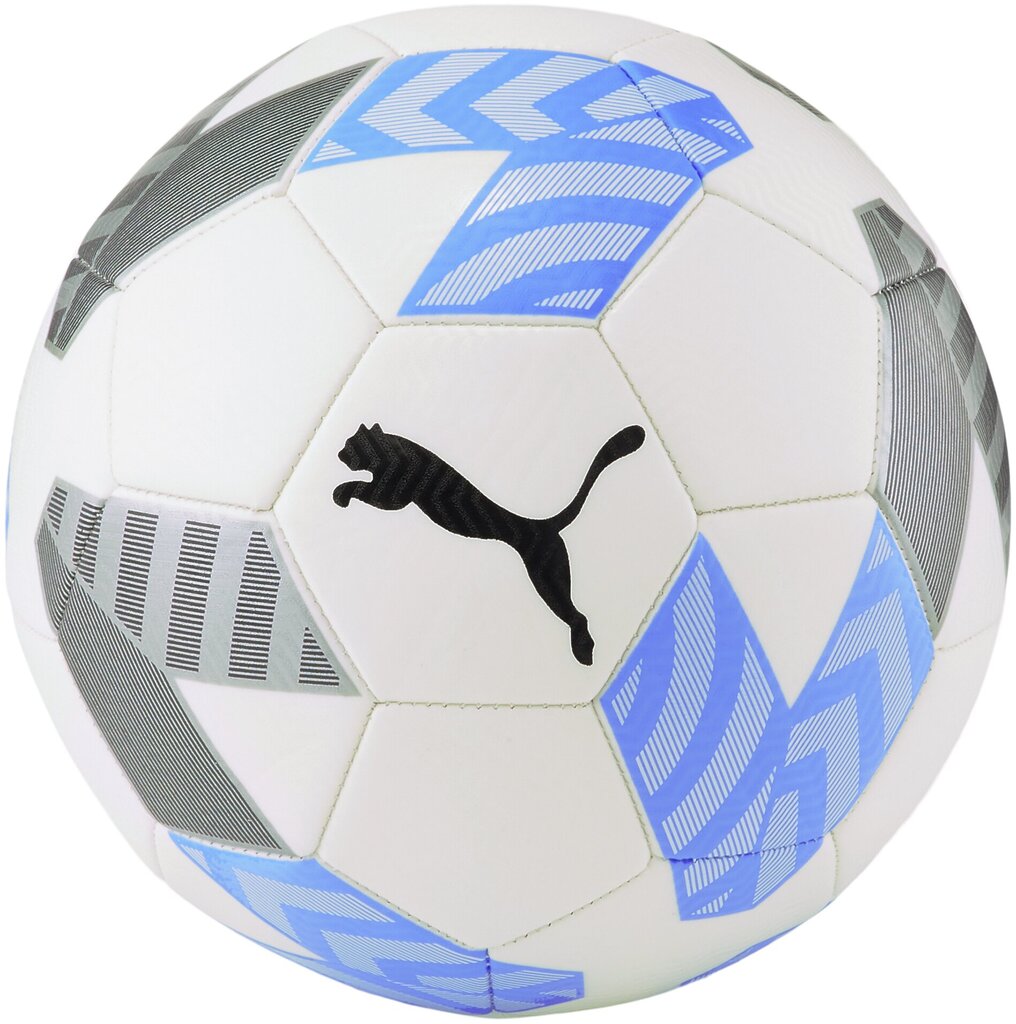 Futbolo kamuolys Puma King Ball, 5 dydis цена и информация | Futbolo kamuoliai | pigu.lt