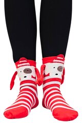 Kojinės moterims Bobmagnet, raudonos kaina ir informacija | Moteriškos kojinės | pigu.lt