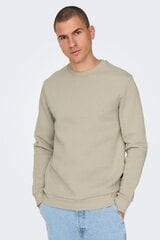 Спортивный свитер Only&Sons 22018683SILVERLINING-M цена и информация | Мужские толстовки | pigu.lt