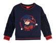 Bluzonas mergaitėms Miraculous Ladybug, mėlynas kaina ir informacija | Megztiniai, bluzonai, švarkai mergaitėms | pigu.lt