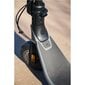 Elektrinis paspirtukas Ninebot by Segway Kickscooter E2 PRO E, juodas kaina ir informacija | Elektriniai paspirtukai | pigu.lt