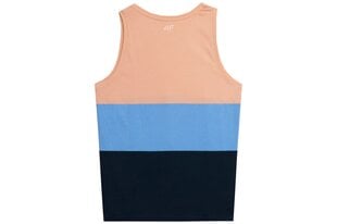 Marškinėliai vyrams 4F, įvairių spalvų kaina ir informacija | Vyriški marškinėliai | pigu.lt