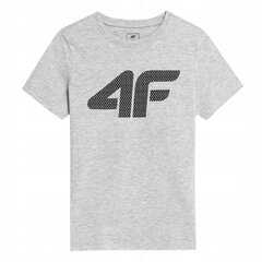 Marškinėliai berniukams 4F 4FJSS23TTSHM293, pilki kaina ir informacija | Marškinėliai berniukams | pigu.lt