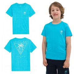 Marškinėliai berniukams 4F, mėlyni kaina ir informacija | Marškinėliai berniukams | pigu.lt