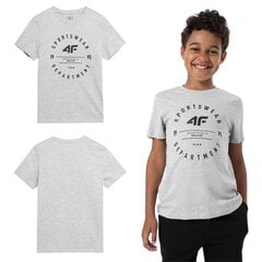 Marškinėliai berniukams 4F, pilki kaina ir informacija | Marškinėliai berniukams | pigu.lt