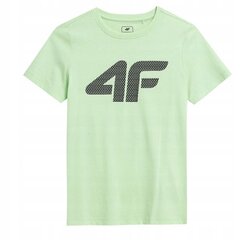 Marškinėliai berniukams 4F, žali kaina ir informacija | Marškinėliai berniukams | pigu.lt