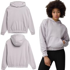 Džemperis moterims 4F, pilkas kaina ir informacija | Džemperiai moterims | pigu.lt