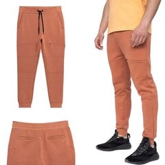 Спортивные штаны 4F коричневые, размер S 4FSS23TTROM152_BRAZ_S цена и информация | Мужские брюки | pigu.lt