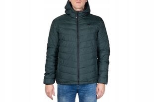 Куртка мужская 4F, зеленая цена и информация | Мужские куртки | pigu.lt