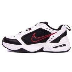 Sportiniai batai vyrams Nike 415445101, balti kaina ir informacija | Kedai vyrams | pigu.lt