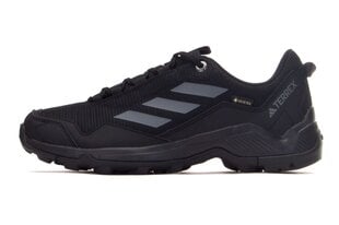 Ботинки adidas TERREX EASTRAIL GTX, черные 45 ⅓ ID7845_45_13 цена и информация | Мужские кроссовки | pigu.lt