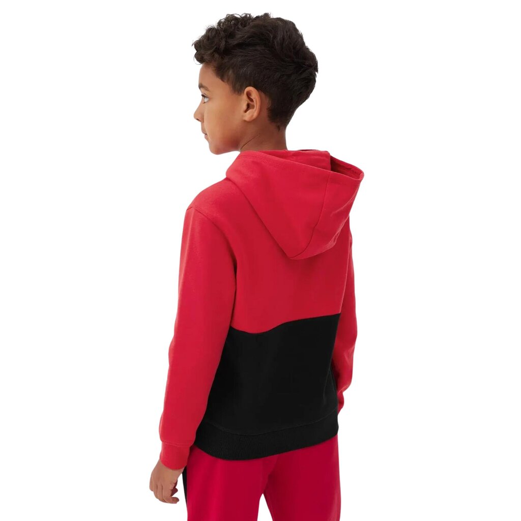 Džemperis berniukams 4F, raudonas цена и информация | Megztiniai, bluzonai, švarkai berniukams | pigu.lt