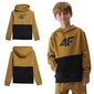 Džemperis berniukams 4F, rudas цена и информация | Megztiniai, bluzonai, švarkai berniukams | pigu.lt