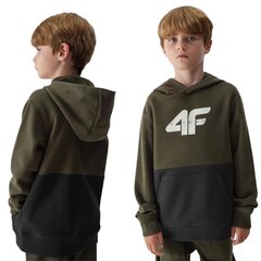 Блузка для мальчика 4F, зелено-черная, размер 140 цена и информация | Свитеры, жилетки, пиджаки для мальчиков | pigu.lt