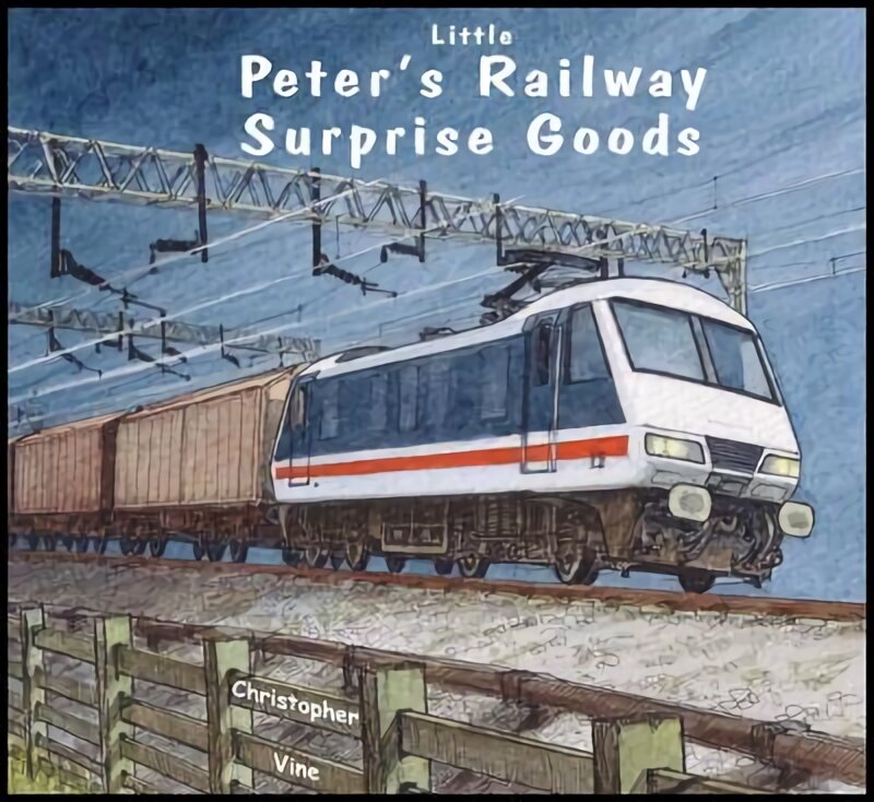 Peter's Railway Surprise Goods цена и информация | Knygos paaugliams ir jaunimui | pigu.lt